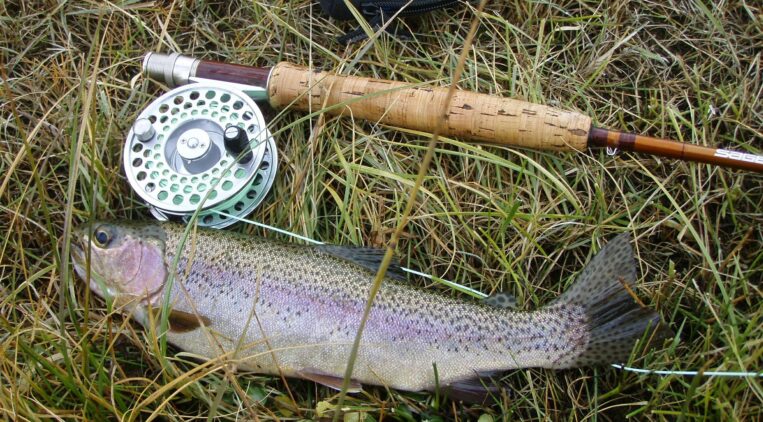 2024 The Best Fly Rods for Anglers